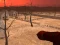 Gioco Wasteland Shooters in linea