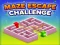 Gioco Maze Escape Challenge in linea