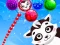 Gioco Raccoon Rescue in linea