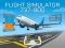 Gioco Flight Simulator 737-800 in linea
