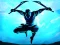 Gioco Shadow Ninja Revenge in linea