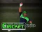 Gioco Cricket Fielder Challenge in linea