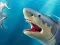 Gioco Shark Hunting in linea