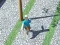 Gioco City Run 3D in linea