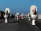 Gioco Hunt Skibidi Toilet in linea