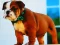 Gioco Bulldog Puppy Puzzle in linea