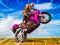 Gioco Crazy Wheelie Motorider in linea