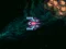 Gioco Asteroid Crush in linea