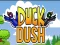 Gioco Duck Dash in linea