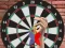 Gioco Darts 501 in linea