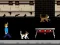 Gioco Streamer Fashion Run in linea