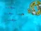 Gioco Survive the Sharks in linea