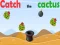 Gioco Catch The Cactus in linea