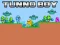 Gioco Tunno Boy in linea