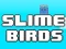 Gioco Slime Birds in linea