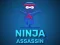 Gioco Ninja Assassin in linea