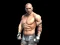 Gioco Fight Arena Online in linea