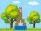 Gioco Box Challenge in linea