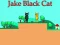 Gioco Jake Black Cat in linea