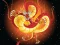Gioco Chinese Dragons Coloring in linea