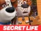 Gioco The Secret Life of Pets Jigsaw Puzzle in linea