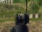 Gioco Army Shooter in linea