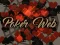 Gioco Poker Web in linea