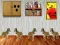 Gioco Dog Room Escape in linea