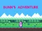 Gioco Bunn's Adventure in linea