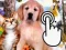 Gioco Pets Clicker in linea