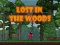Gioco Lost in the Woods in linea