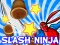 Gioco Slash Ninja in linea