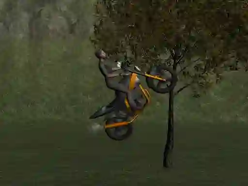 Gioco Mountain Bike Rider in linea