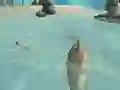 Gioco Shark Simulator Beach Killer in linea