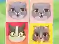 Gioco Kitten Match in linea