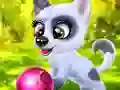 Gioco Happy Dog in linea