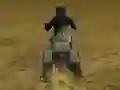 Gioco Real Moto Stunts Challenge in linea