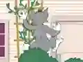 Gioco Tom und Jerry: Wasserbomben Wahnsinn in linea