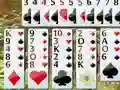 Gioco Flower Garden Solitaire in linea