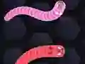 Gioco Angry Worms in linea
