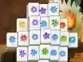 Gioco Spring Flower in linea