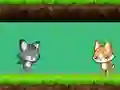 Gioco Cat vs Dog in linea