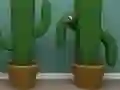 Gioco Cactus Cube in linea