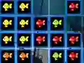 Gioco 1010 Fish Blocks in linea