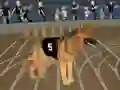 Gioco Crazy Dog Racing Fever in linea