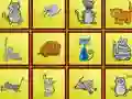 Gioco Cats Findiff in linea