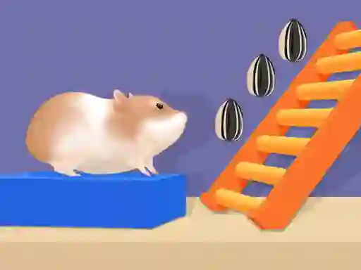 Gioco Hamster Stack Maze in linea