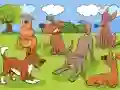 Gioco Animals Differences in linea