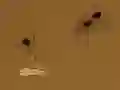 Gioco Save the crumb in linea