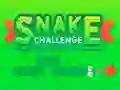Gioco Snake Challenge in linea